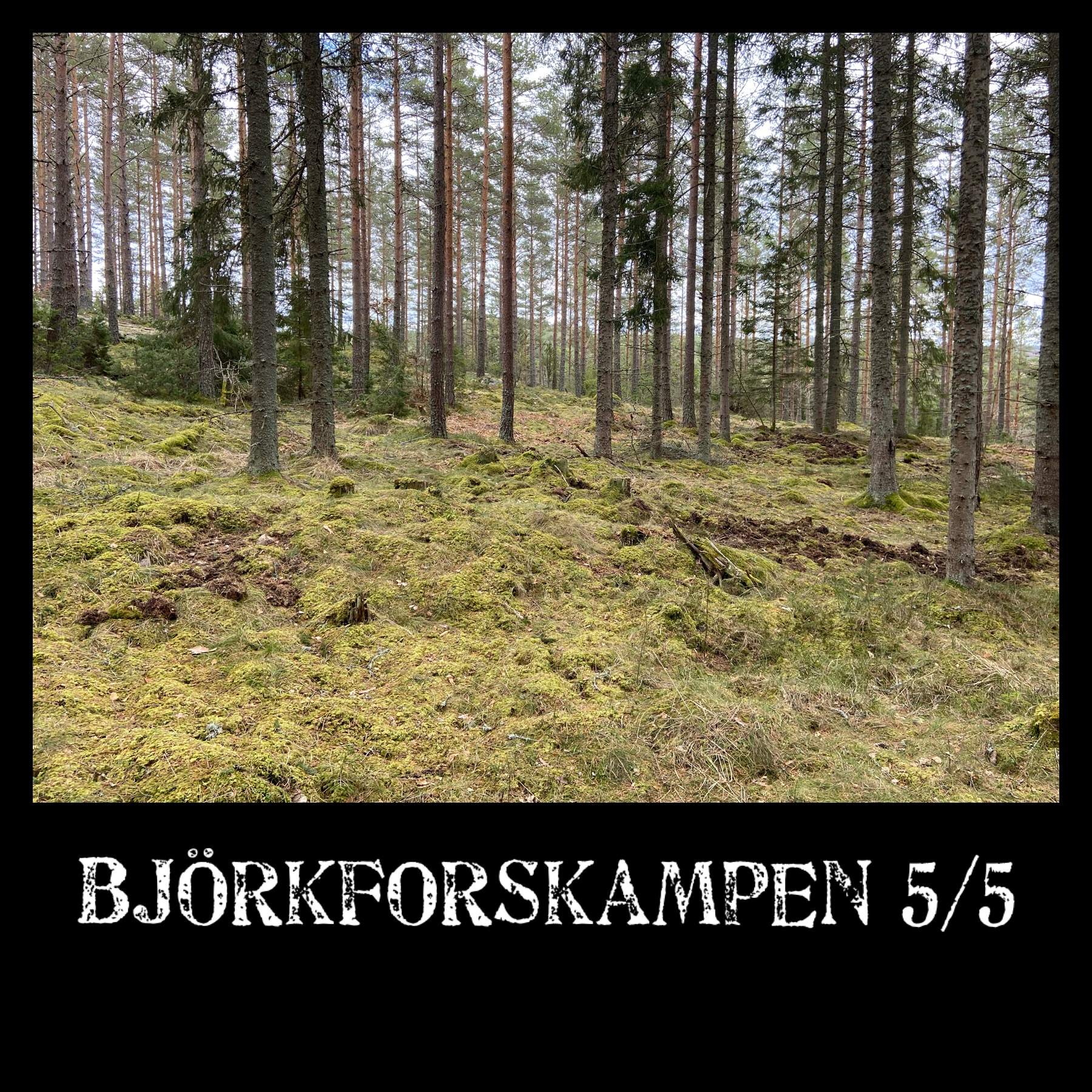 image: Björkforskampen 5/5